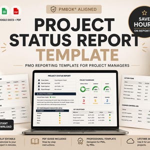 Project Status Report Template PMO Reporting Template IT Project Manager Executive Project Report Risk Register Issue Log Change Control
