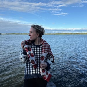 May include: A long-sleeved knit jumper featuring a navy blue and white chequered pattern with red strawberry motifs, paired with a matching knit scarf draped over the shoulders, both displaying a consistent strawberry and chequered design.