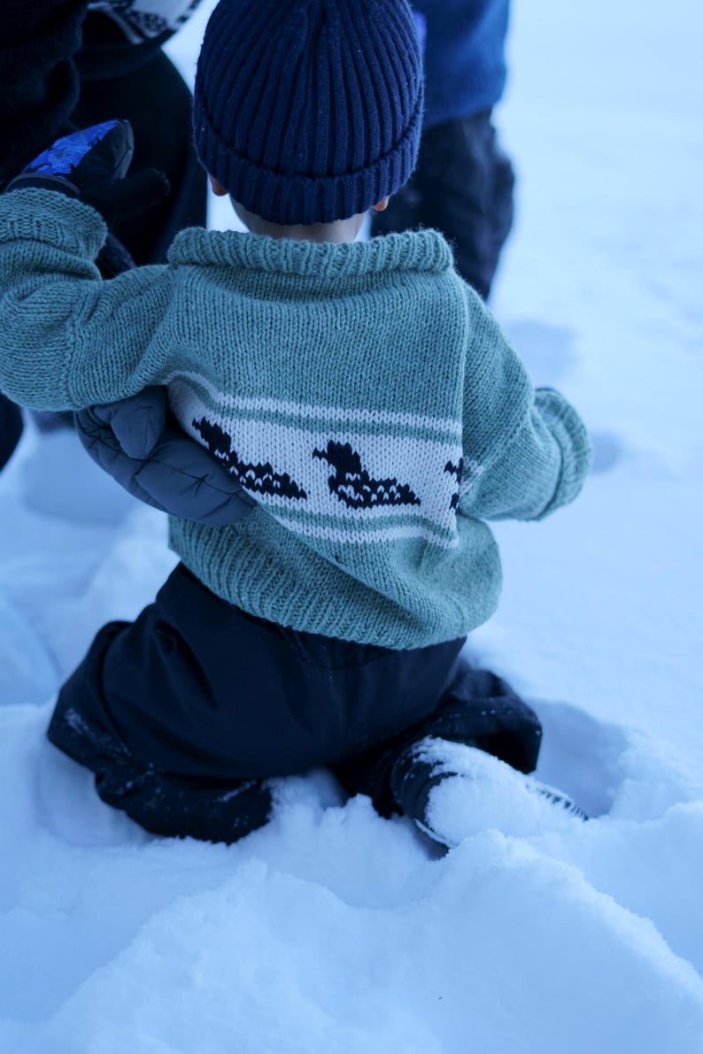 May include: A child wearing a teal knitted sweater with a white band featuring black bird-like designs. The child is wearing a navy blue beanie and black pants, playing in the snow. The sweater has a ribbed collar.