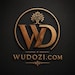 Wudozi