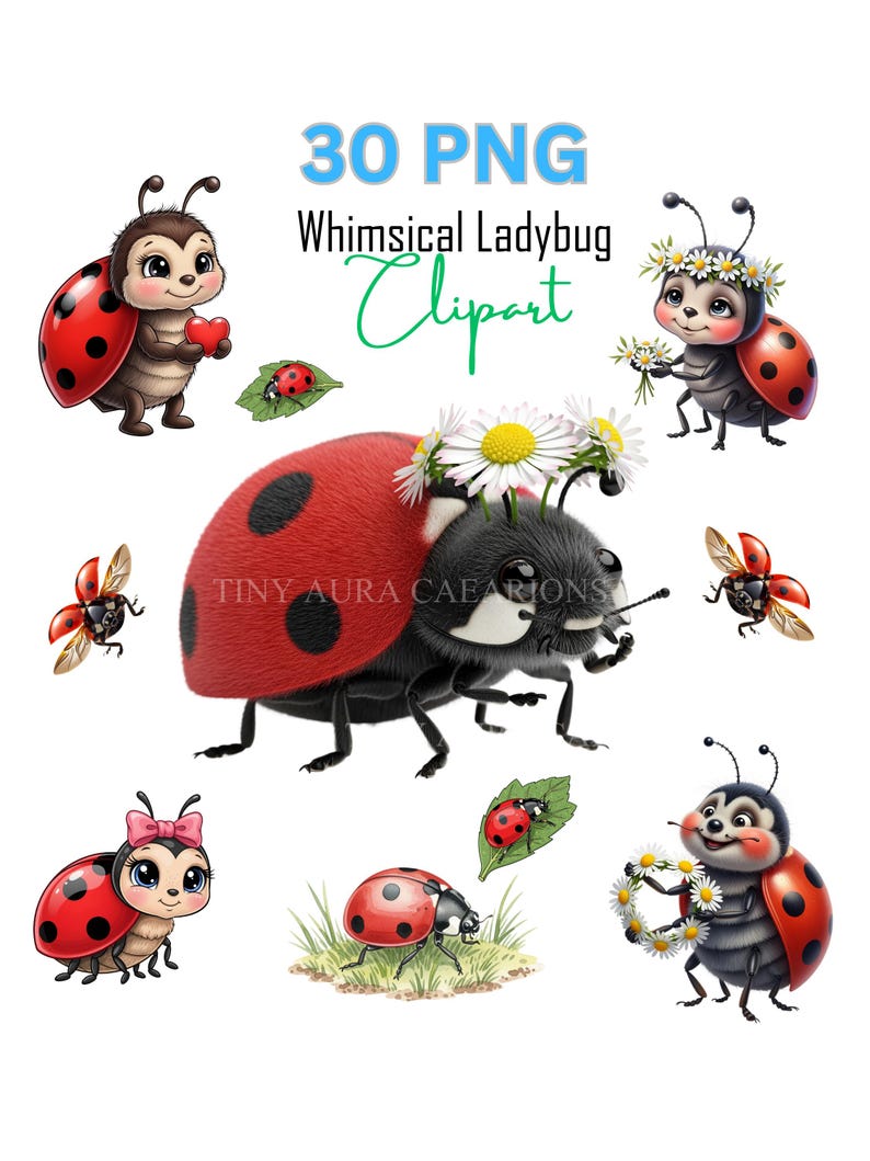 25 Cute Ladybug Clipart PNG Bundle, Spring Nursery Art, Valentine ...