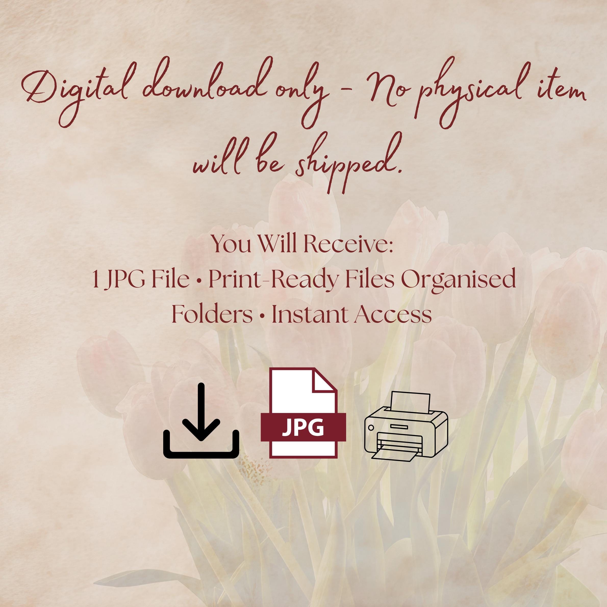 Our Lady of Grace Catholic Art | Miraculous Medal Devotion Printable ...