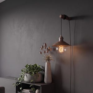 May include: A vintage-style wall-mounted lamp with a bronze finish and a clear Edison bulb. The lamp is suspended from a wooden arm and has a black cord. A gray wall is in the background, with a decorative vase and potted plants.