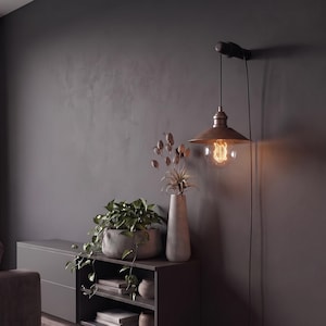 May include: A bronze-colored pendant light with a vintage-style bulb hangs from a dark wall. The light is positioned above a gray cabinet with a potted plant and a tall vase. The room has a modern, minimalist aesthetic.