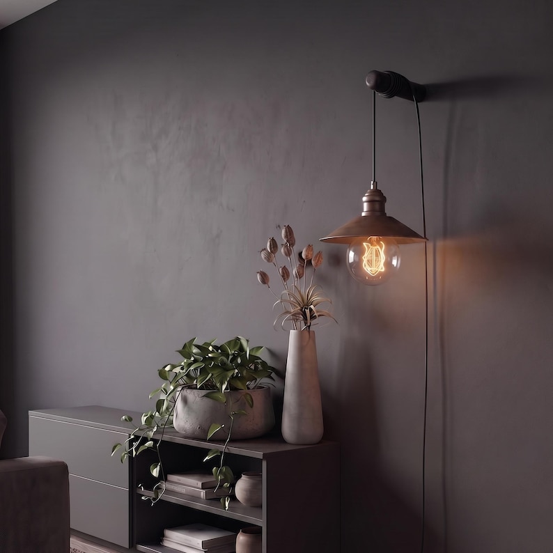 May include: A bronze-colored pendant light with a vintage-style bulb hangs from a dark wall. The light is positioned above a gray cabinet with a potted plant and a tall vase. The room has a modern, minimalist aesthetic.
