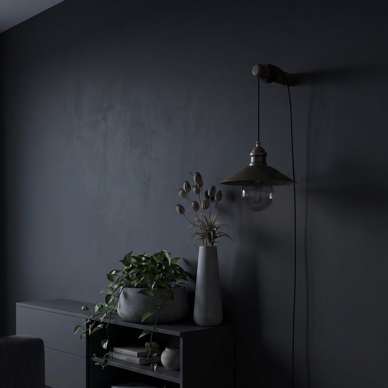 May include: A dark, moody interior scene featuring a wall-mounted, antique-style lamp with a bronze finish and a visible lightbulb. A dark gray cabinet with a plant in a concrete pot and a tall vase with dried flowers are also visible. The wall is painted a dark gray.