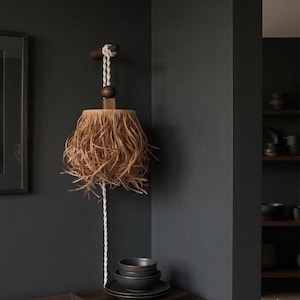 Plug-in Raffia Hanging Lamp - Renter Friendly Boho Wall Light