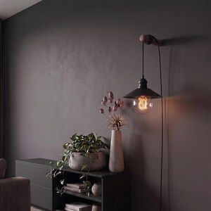 May include: A black metal pendant lamp with a vintage Edison bulb hangs from a wooden arm attached to a dark gray wall. The lamp is positioned above a dark gray cabinet with decorative plants and vases.