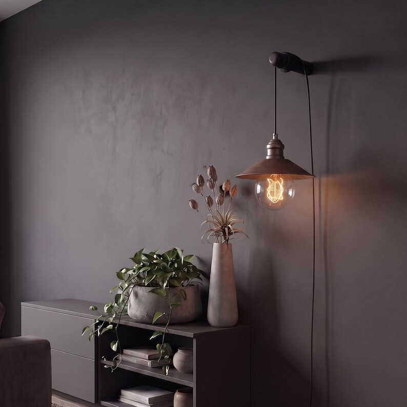 May include: A bronze-colored pendant light with a vintage-style bulb hangs from a dark wall. The light is positioned above a gray cabinet with a potted plant and a tall vase. The room has a modern, minimalist aesthetic.