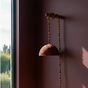 May include: A brown, semi-spherical pendant light hangs from a wooden rod, suspended by a twisted, beige rope. The rod is mounted on a dark purple wall. A window is visible on the left side of the image.