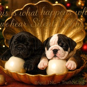 May include: Two sleeping bulldog puppies, one black and one black and white, rest in a golden seashell. The shell sits amid Christmas ornaments and a decorated tree. Text reads "This is what happens when we hear Silent Night."