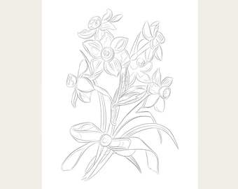 Ausmalbilder mit Blumen (PDF, PNG) für Kinder und Erwachsene, handgezeichnete Blumenmalvorlagen, druckbare, entspannende Malaktivität