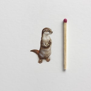 Könnte beinhalten: Detaillierte Illustration eines kleinen, braunen Otters, der aufrecht steht und ein kleines Objekt hält. Ein Holzstreichholz mit rotem Kopf befindet sich neben dem Otter. Das Bild ist vor einem weißen Hintergrund.