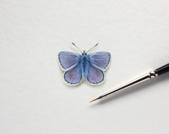 Azul común europeo. Lámina artística a partir de una miniatura original en acuarela. Pequeña obra de arte.