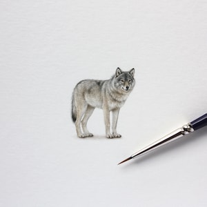 Puede incluir: Una detallada pintura a la acuarela de un lobo gris de pie sobre una superficie blanca. El lobo tiene un pelaje gris claro y marrón, con una expresión concentrada. Un pincel con un mango azul oscuro y una virola plateada está en primer plano.