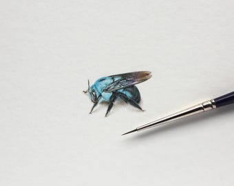 Abeja carpintera azul. Lámina artística a partir de una acuarela original en miniatura. Obra de arte en miniatura (10 x 10 cm)