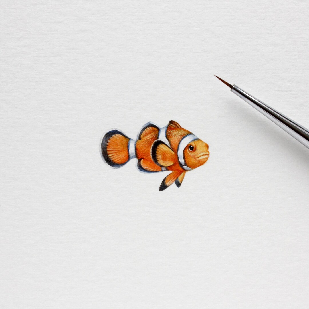 Clownfish. Art Print From Original Watercolor Miniature Painting. Tiny ...