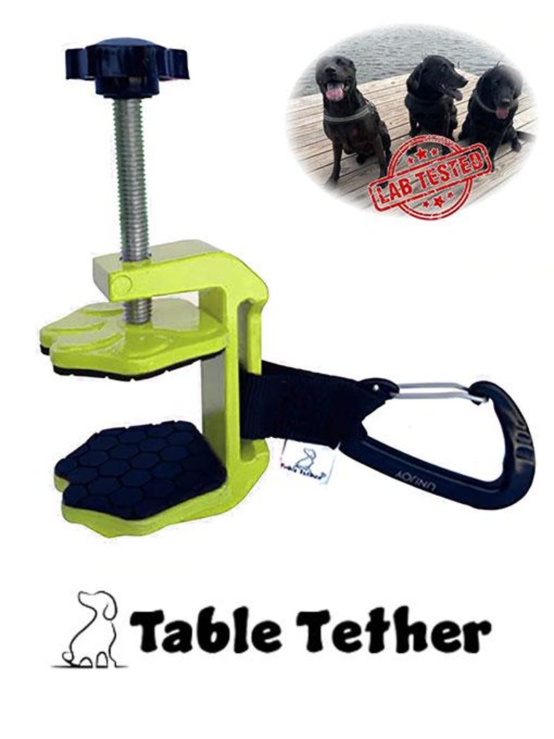 Hands-Free Pet Restraint: Outdoor Dog Tie-Out, Portable Leash Hook, Camping leash holder, Pet leash holder, Dog Anchor, Removable restraint. image 1