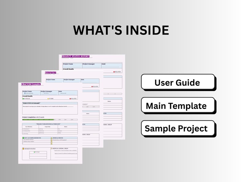 Project Management| Onenote Project Status Template | Project Tracker ...