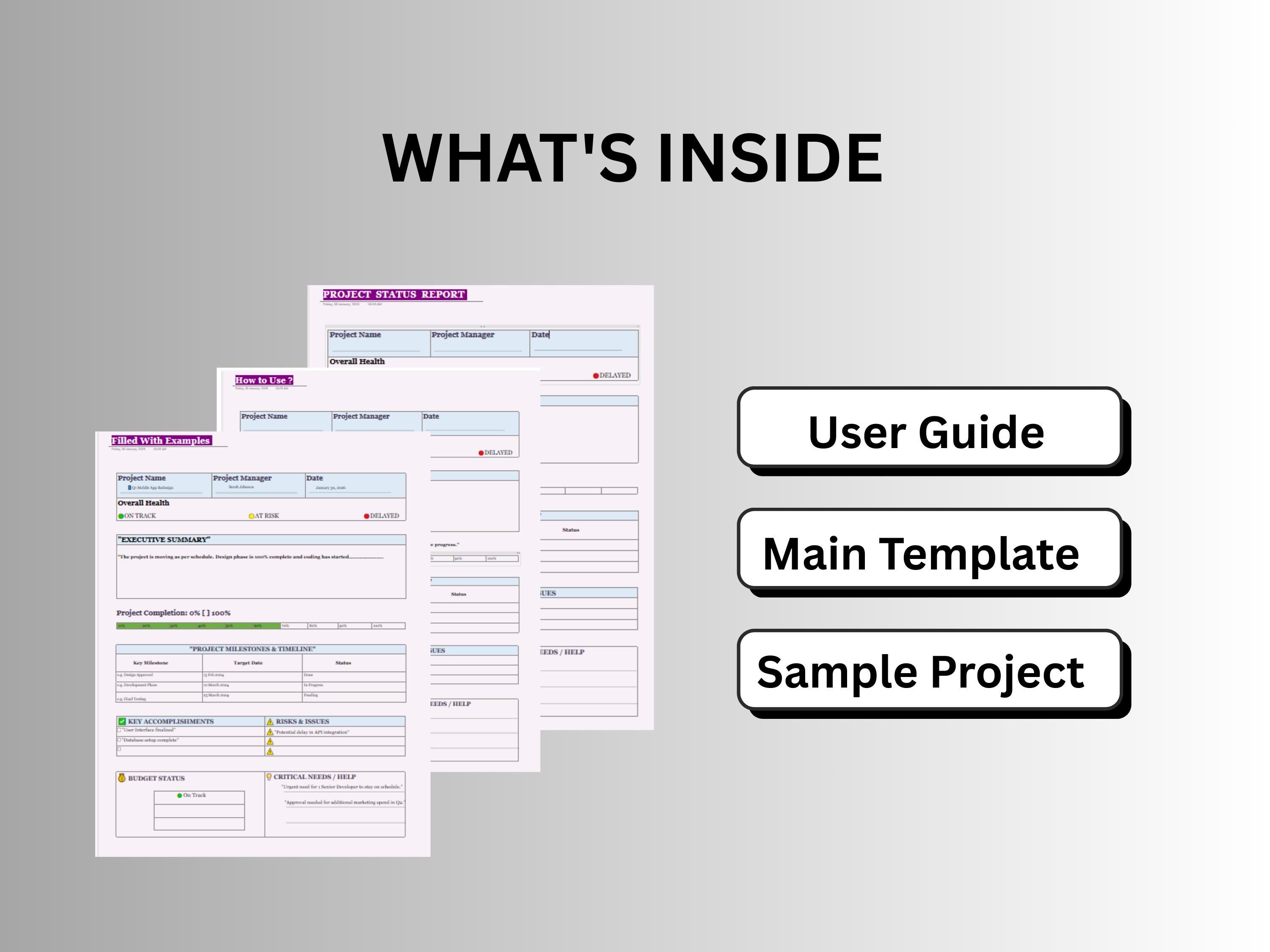 Project Management| Onenote Project Status Template | Project Tracker ...