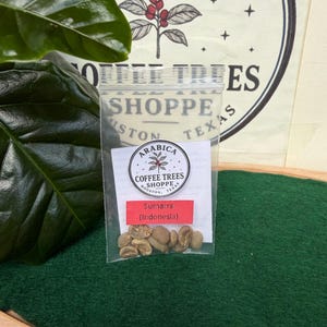 Puede incluir: Una bolsa de plástico transparente que contiene granos de café de color marrón claro sin tostar. La bolsa tiene una etiqueta blanca con el texto Arabica Coffee Trees Shoppe Houston, Texas y una etiqueta roja con Sumatra (Indonesia) en negro.