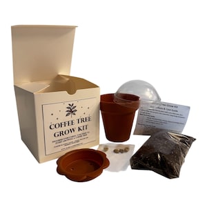 Colombian Arabica Coffee Tree Grow Kit- With Specialized Soil & Fresh single source Seeds
