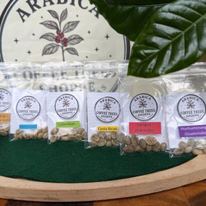 Könnte beinhalten: Sechs durchsichtige Plastikbeutel mit rohen Kaffeebohnen, jeweils mit einem weißen Etikett mit dem Logo Arabica Coffee Trees Shoppe. Die Etiketten enthalten die Herkunftsbezeichnungen: Papua-Neuguinea, Kilimandscharo, Kolumbien, Costa Rica, Sumatra und Huehuetenango.