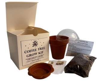 Costa Rican Arabica Coffee Tree Grow Kit- With Specialized Soil & Fresh single source Seeds