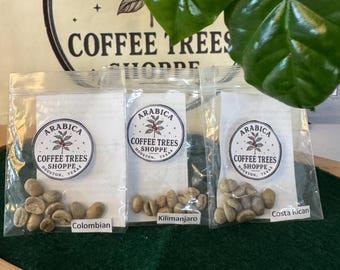 Grow Your Own Coffee Trees – Arabica Seed Flight (3 Varieties) – Fresh Premium Coffee Seeds for Indoor Planting – Rare Gardening Gift