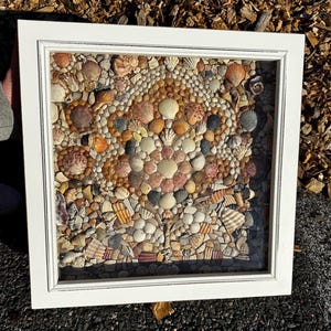 May include: A framed seashell mosaic. The mosaic is composed of various seashells in shades of white, tan, brown, and orange, arranged in a decorative pattern. The frame is white and square, with a glass front.