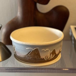 Peut inclure: Un bol rond en céramique avec un intérieur clair et un extérieur texturé orné d'un paysage désertique peint. Le motif comprend des montagnes brunes, des cactus verts et des oiseaux blancs sur un ciel bleu et rose, posé sur une base assortie.