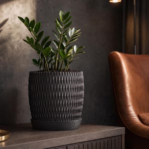 Puede incluir: Una planta ZZ con hojas pinnadas de color verde oscuro brillante, plantada en una maceta cilíndrica de color gris carbón. La maceta presenta un patrón texturizado de diamantes verticales y descansa sobre un plato circular a juego con un logo de flor.