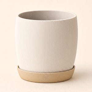 May include: A cylindrical off-white plant pot featuring a vertical ribbed texture on the exterior. The pot sits inside a matching light tan saucer that displays a small, embossed five-petal flower icon centred on the front rim of the base.