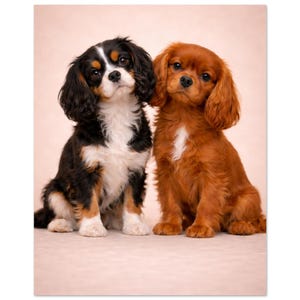 Cavalier King Charles Spaniel Puppy Portrait Print – Ruby & Tri Colour Dog Art