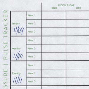 May include: A white paper blood pressure and pulse tracker with handwritten entries. The tracker includes columns for blood sugar, blood pressure, and pulse, with dates and meal times. The first entry shows blood pressure of 109/79 and a pulse of 62.