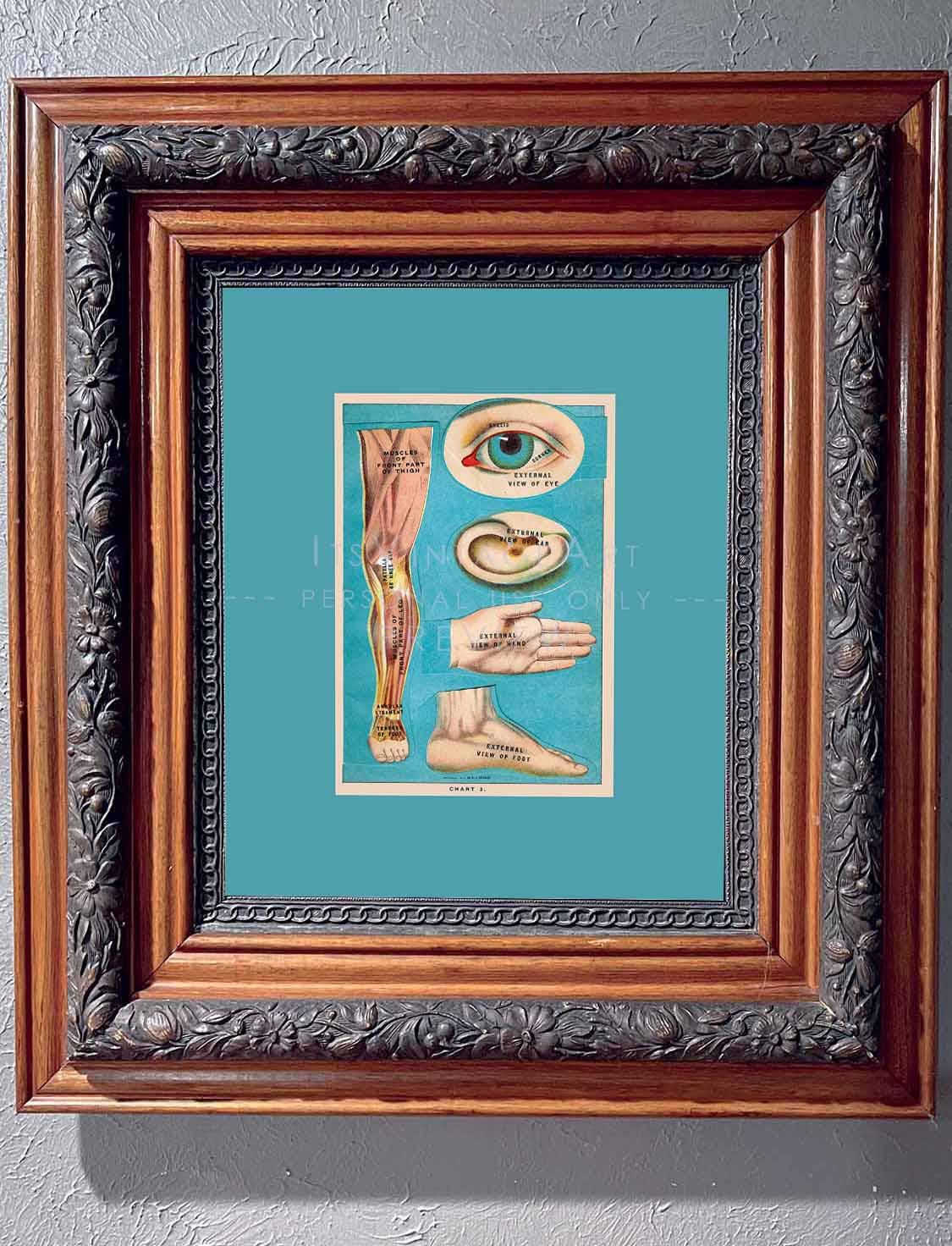 1900s medical book - Etsy 日本