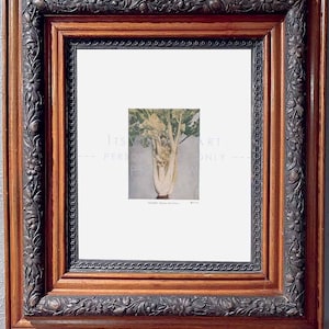 May include: A framed botanical print featuring a detailed illustration of a plant. The print is set within a dark, ornate wooden frame with intricate floral carvings. The frame has a rich, warm brown color, adding a classic touch to the artwork.