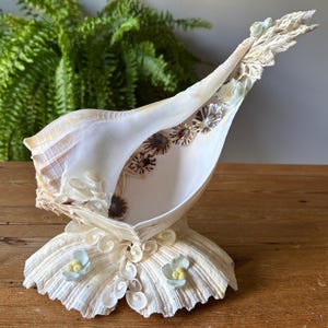 May include: A decorative seashell sculpture with a large, open conch shell shape. The shell is primarily white with brown and tan accents. It features intricate floral and shell embellishments, including small blue and yellow flowers. The sculpture is displayed on a wooden surface.