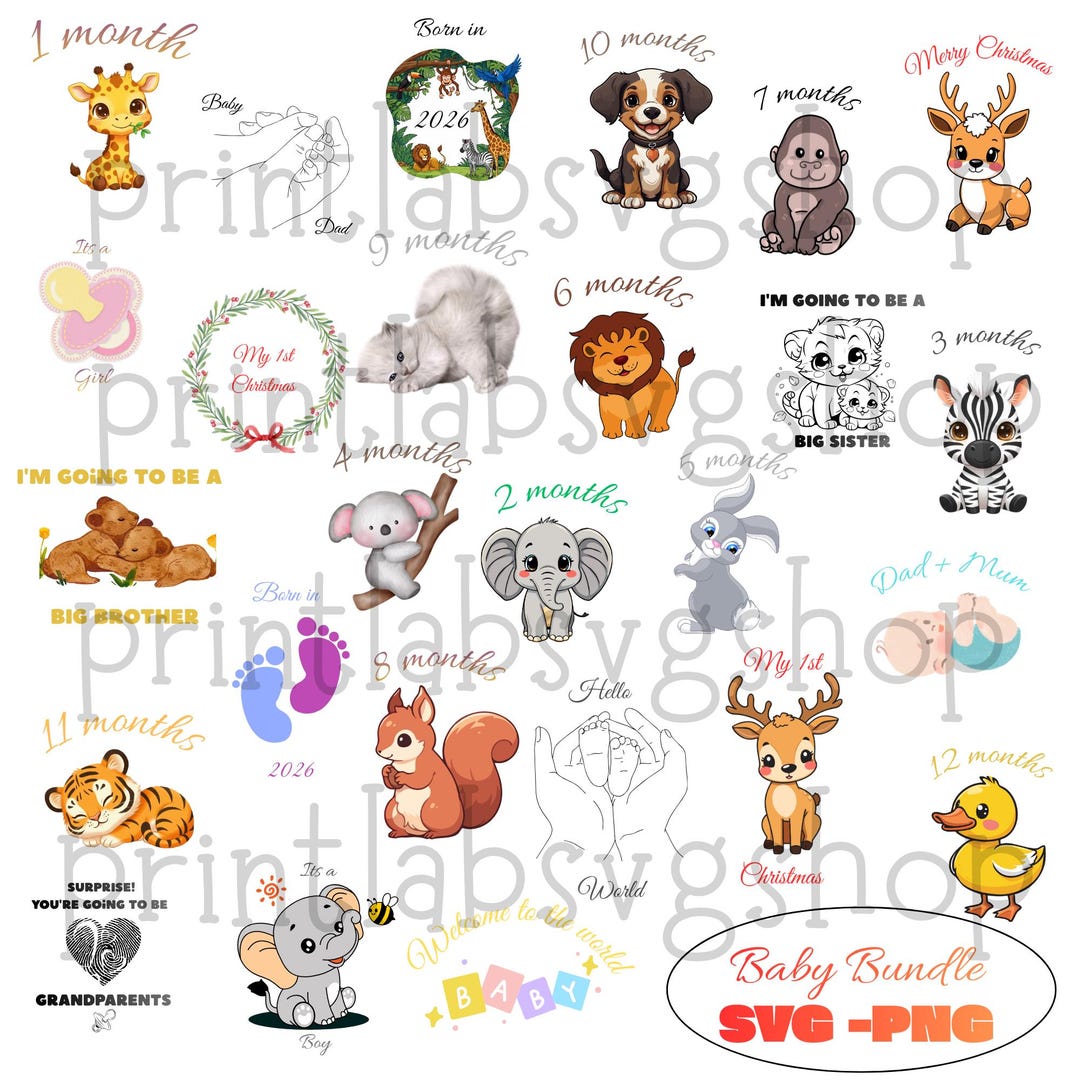 Baby Milestone SVG Bundle | Monthly Baby SVG 1-12 Months | Newborn ...