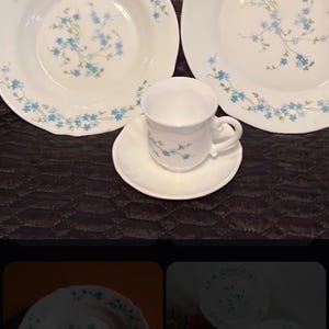 Lot coquetiers tasses à café ramequins arcopal Myosotis