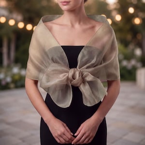 Può includere: Uno scialle in organza trasparente color champagne drappeggiato sulle spalle e annodato in un grande nodo voluminoso al centro del petto. Il tessuto ha una qualità traslucida e scintillante ed è indossato sopra un capo nero a fascia.