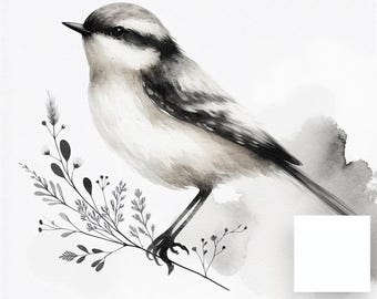 Paquete de imágenes prediseñadas de acuarela