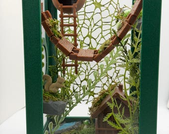 Enchanted Forest Cabin – Fully Decorated Jumping Spider Enclosure | Habitat