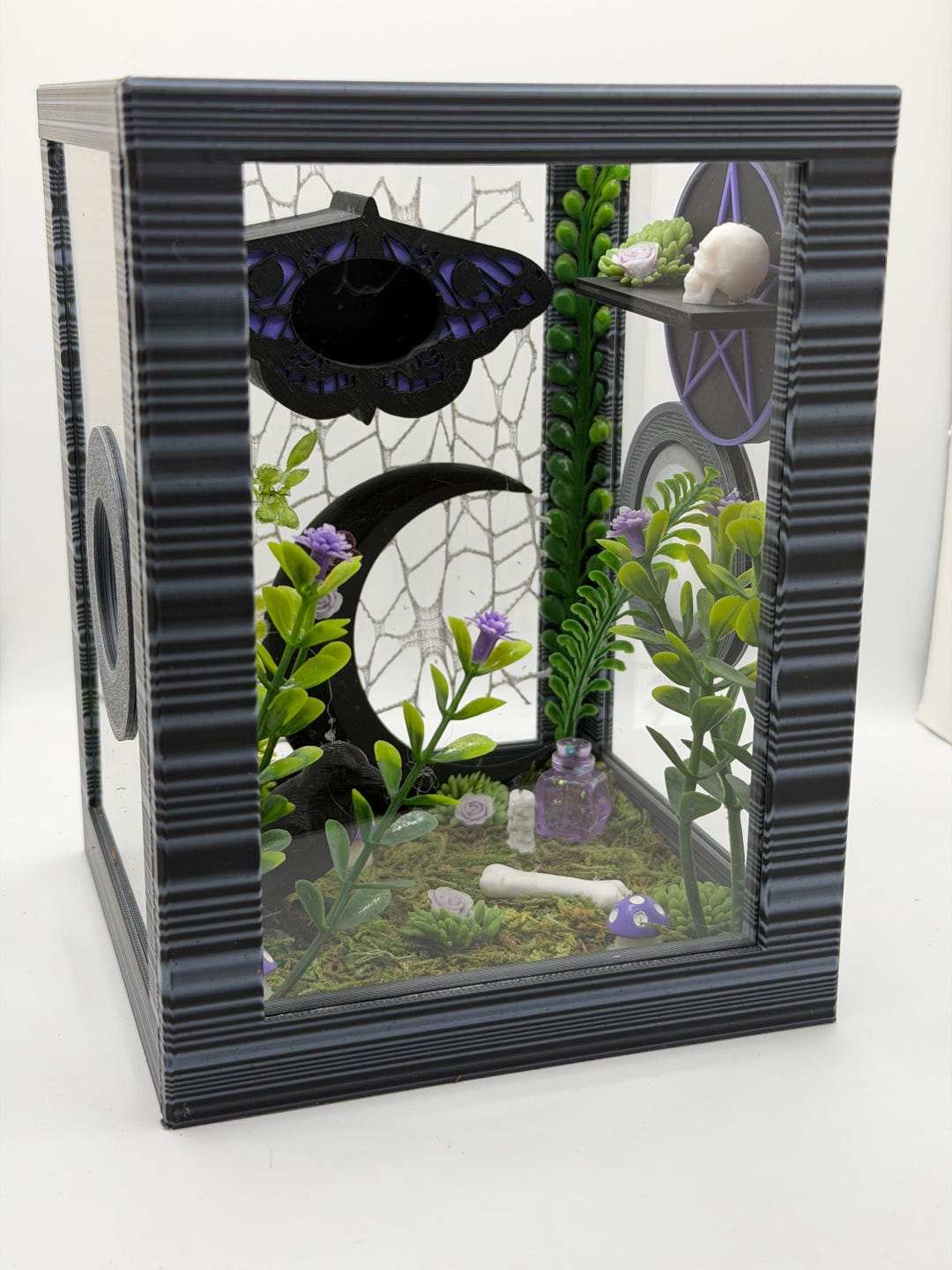Death Moth Jumping Spider Enclosure – Fully Decorated Gothic