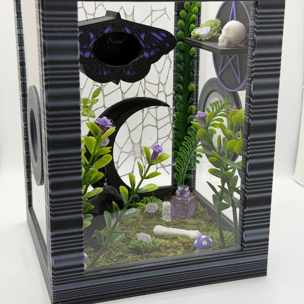 Death Moth Jumping Spider Enclosure – Fully Decorated Gothic Habitat