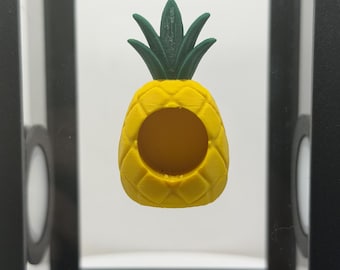 Pineapple Jumping Spider Hide | Magnetic Spider Hideout | Arboreal Enclosure Decor
