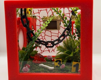 Jumping Spider Fully Decorated Enclosure “Crime Scene” Investigation | Habitat