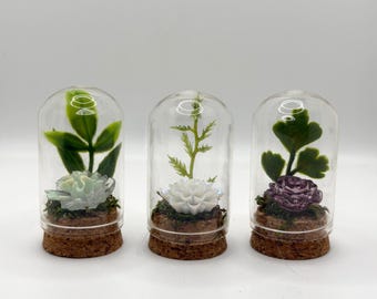 Dernière demeure | Dôme commémoratif de l'araignée sauteuse