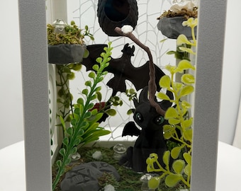 Dragon-Rider Themed Fully-Decorated Jumping Spider Enclosure | Habitat