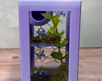Decorated Jumping Spider Sling Enclosure | Starter Kit